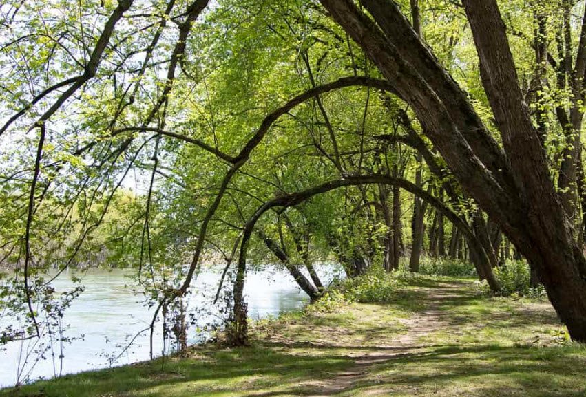 Milton State Park, Pennsylvania, USA